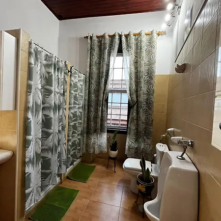 Aloe 2 1 Gratis W Casa De Guia Konukevi Santa Maria de Guia de Gran Canaria